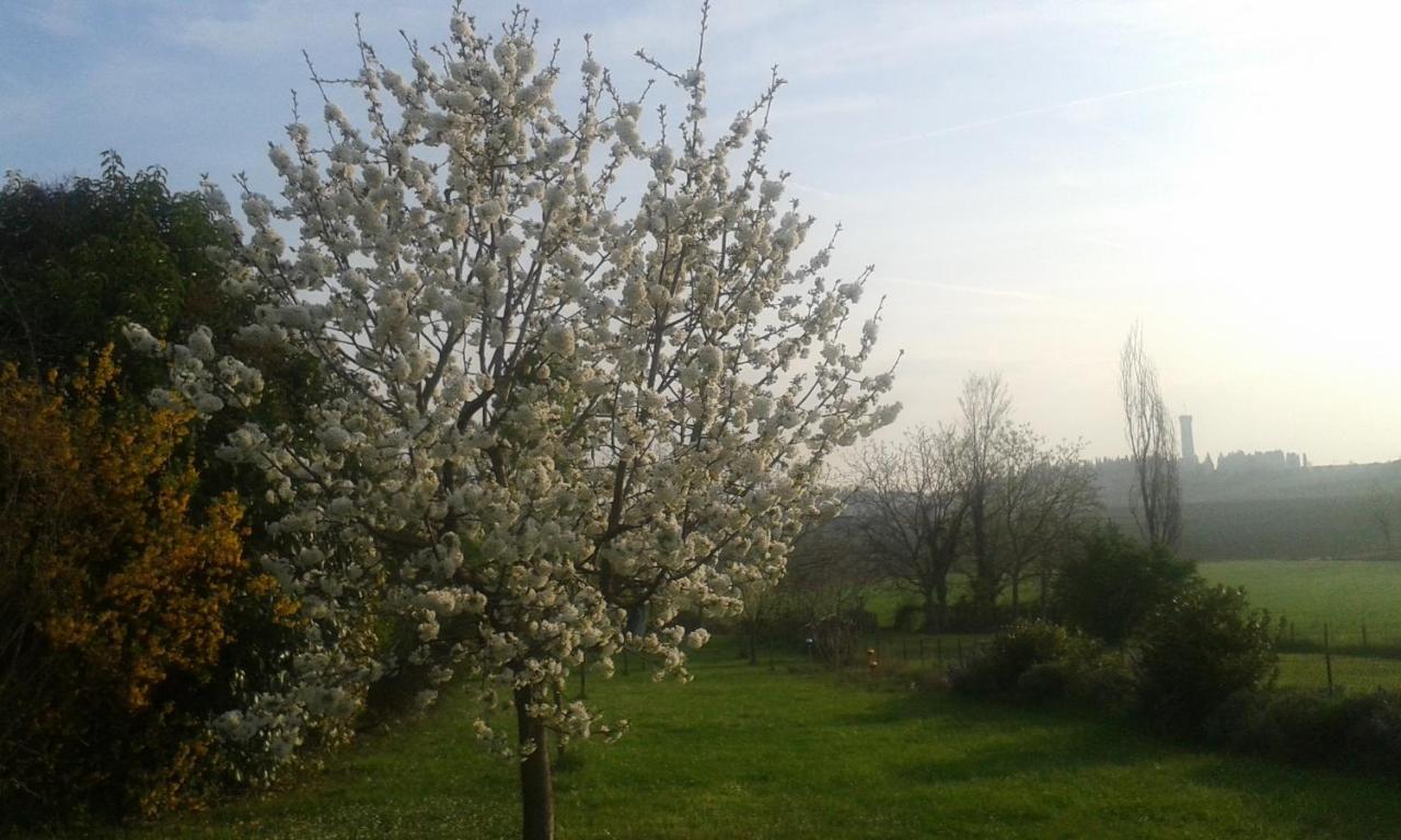 Monte Maino Bed & Breakfast Desenzano del Garda Exterior photo
